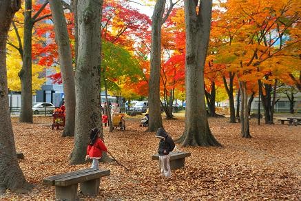 近くの勝山公園は、紅葉真っ盛り!!