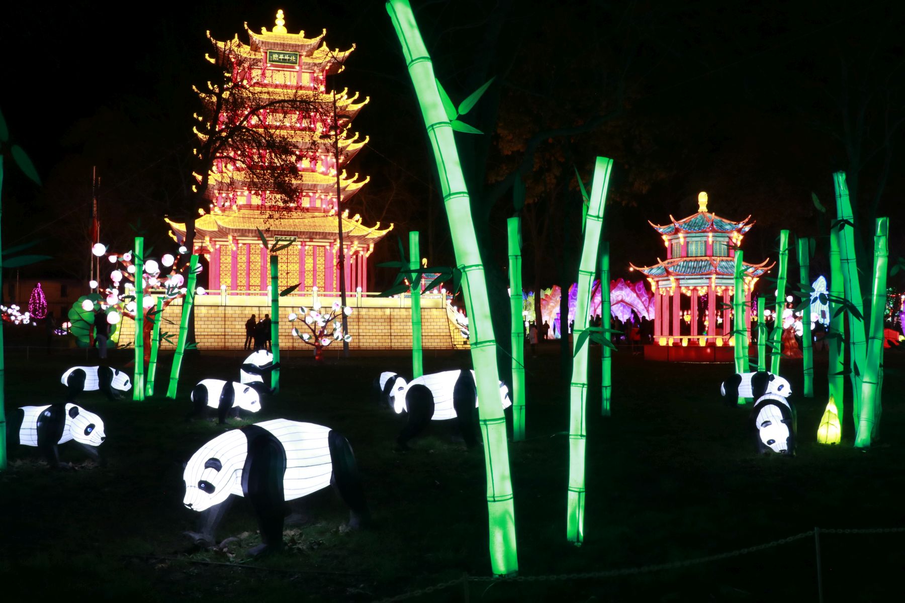 Festival des Lumières à Mantauban 2022