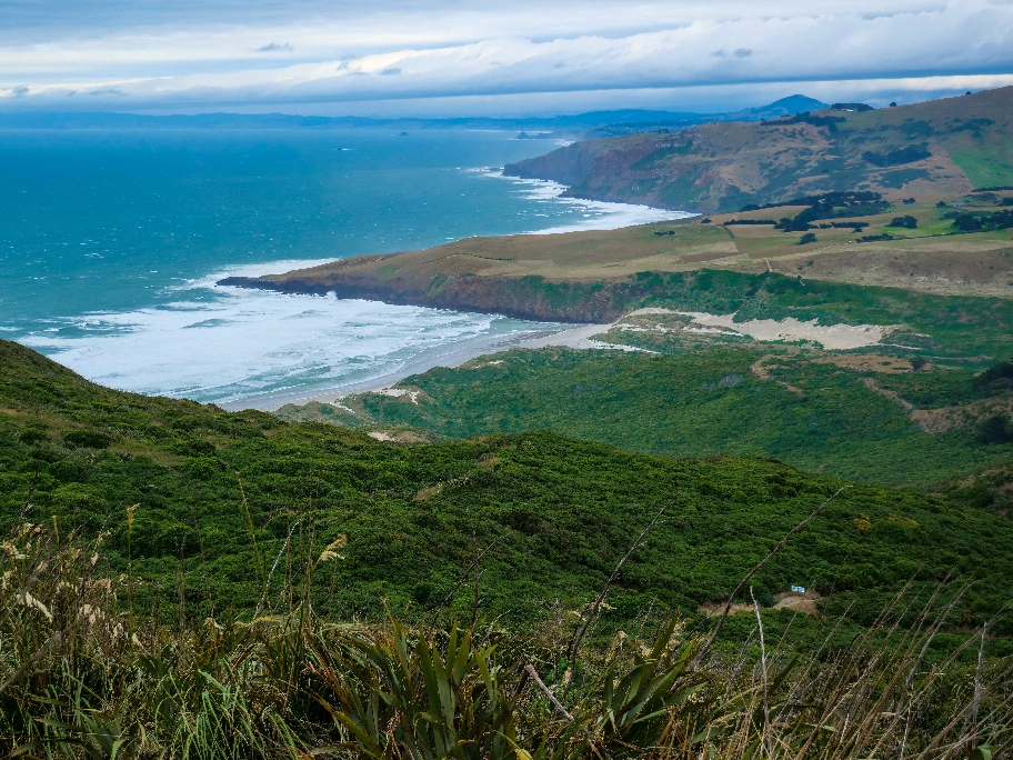 Die schöne Küste auf der Otago Halbinsel