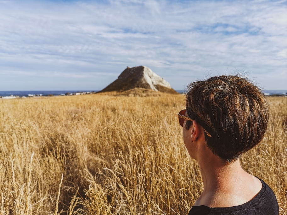 Ein Blick ausm Kornfeld