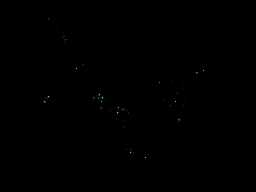 Glowworms sind diese blaugrünen Punkte 