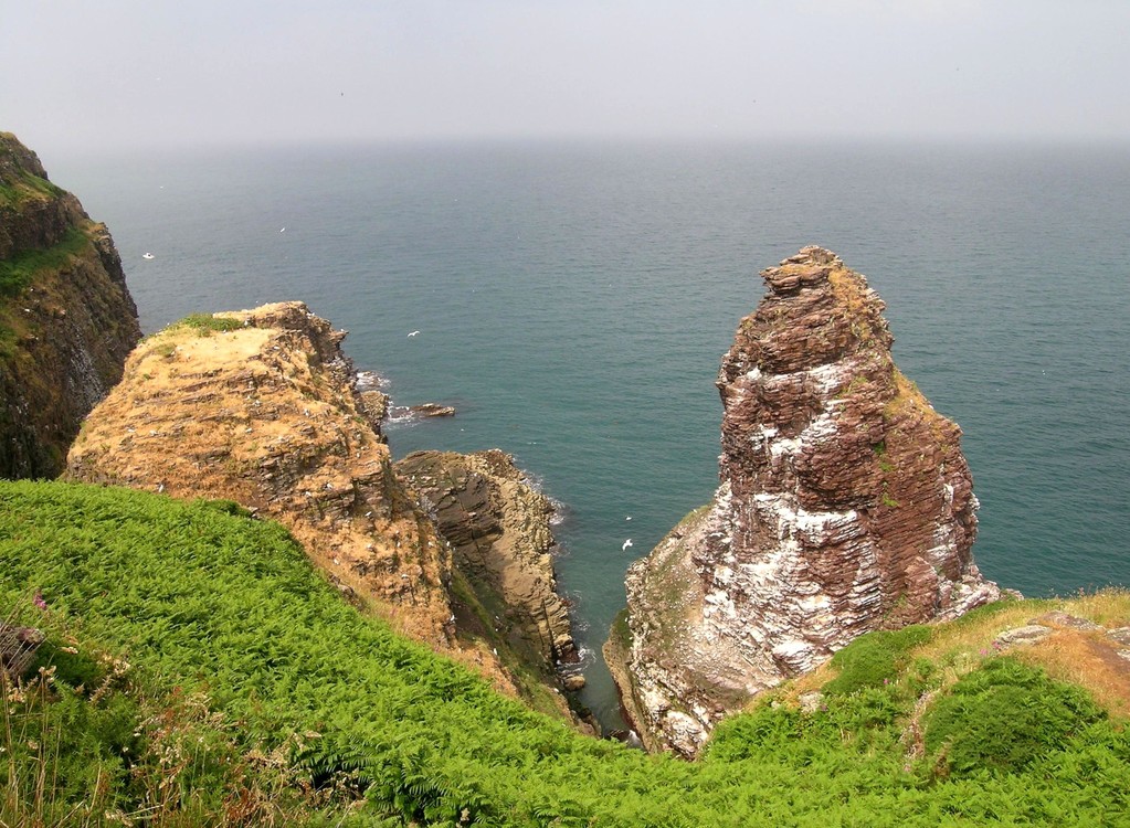 4. Tag: Cap Fréhel. Natur pur!!