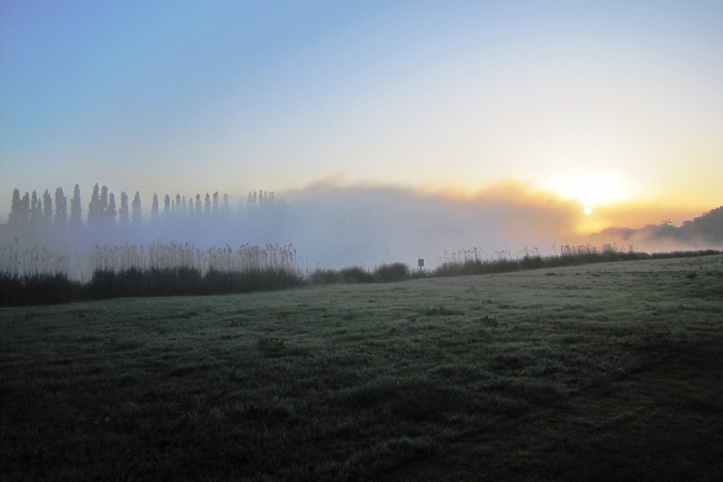 Morgenstimmung