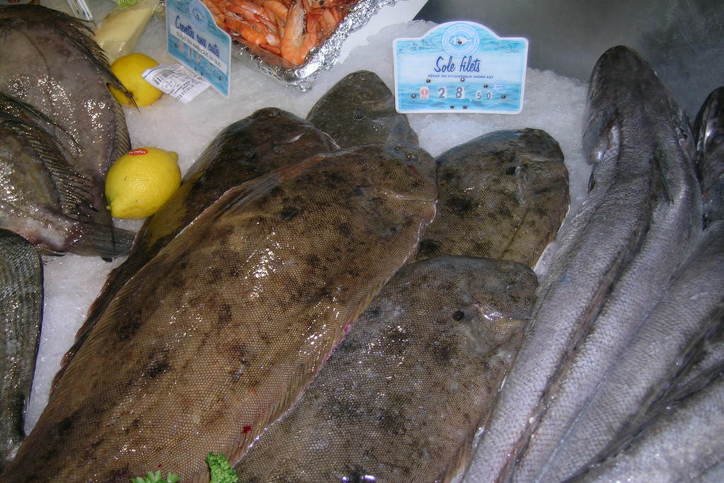 5. Tag: La Trinité (Fisch Halle)