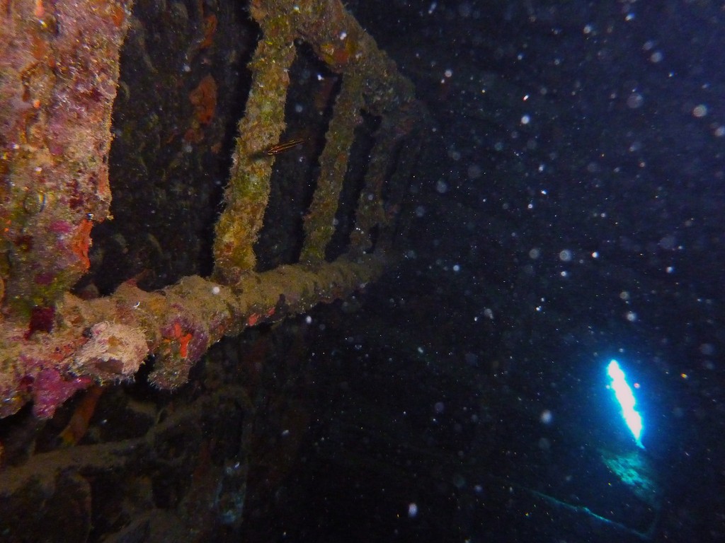 Wrack Minija