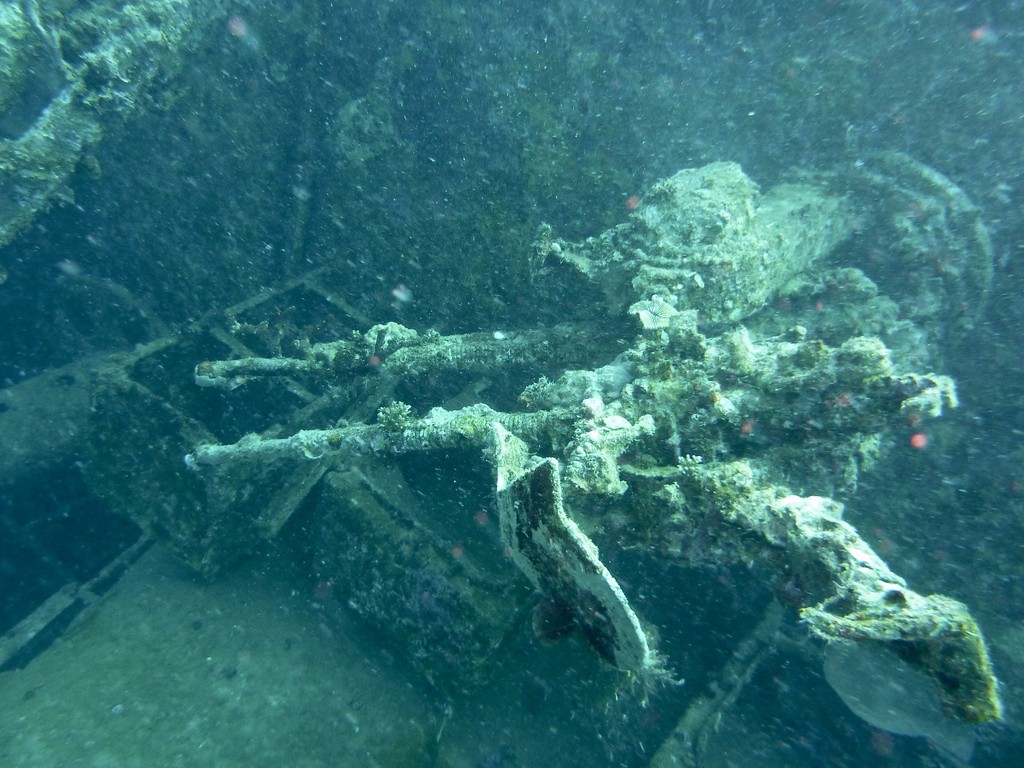 Wrack Minija