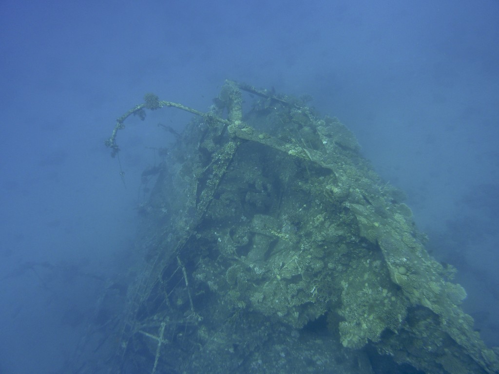 Wrack Chrisoula K