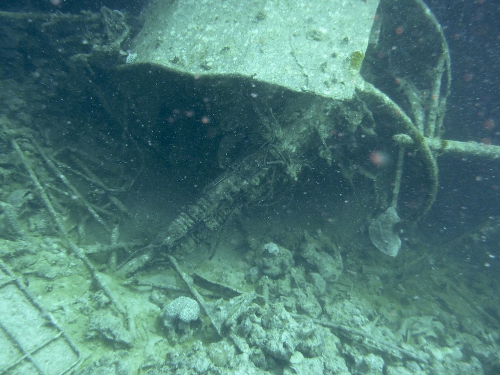 Wrack Minija