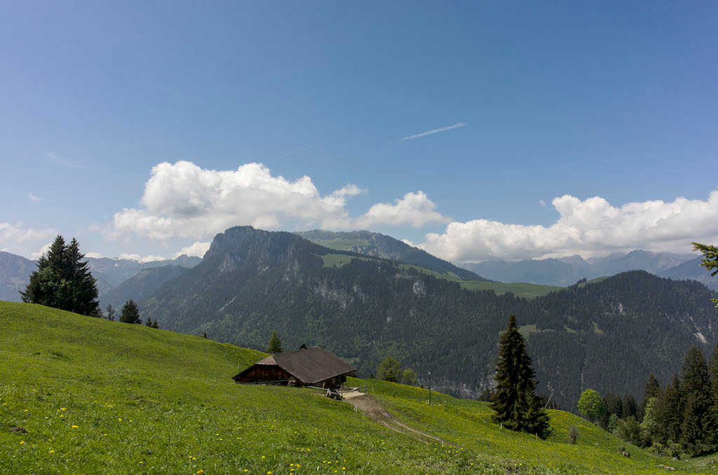 schwingerweg springenboden - thsempach-eicherdigital