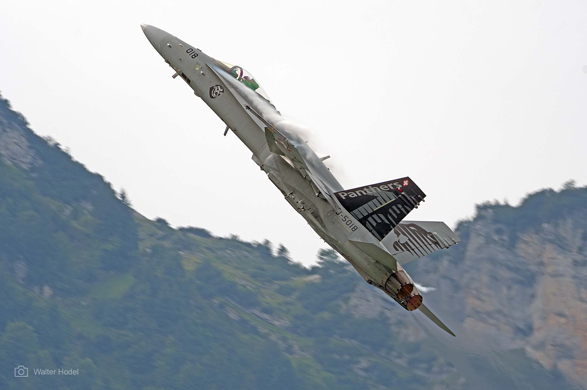 Swiss Hornet Solo Display Team