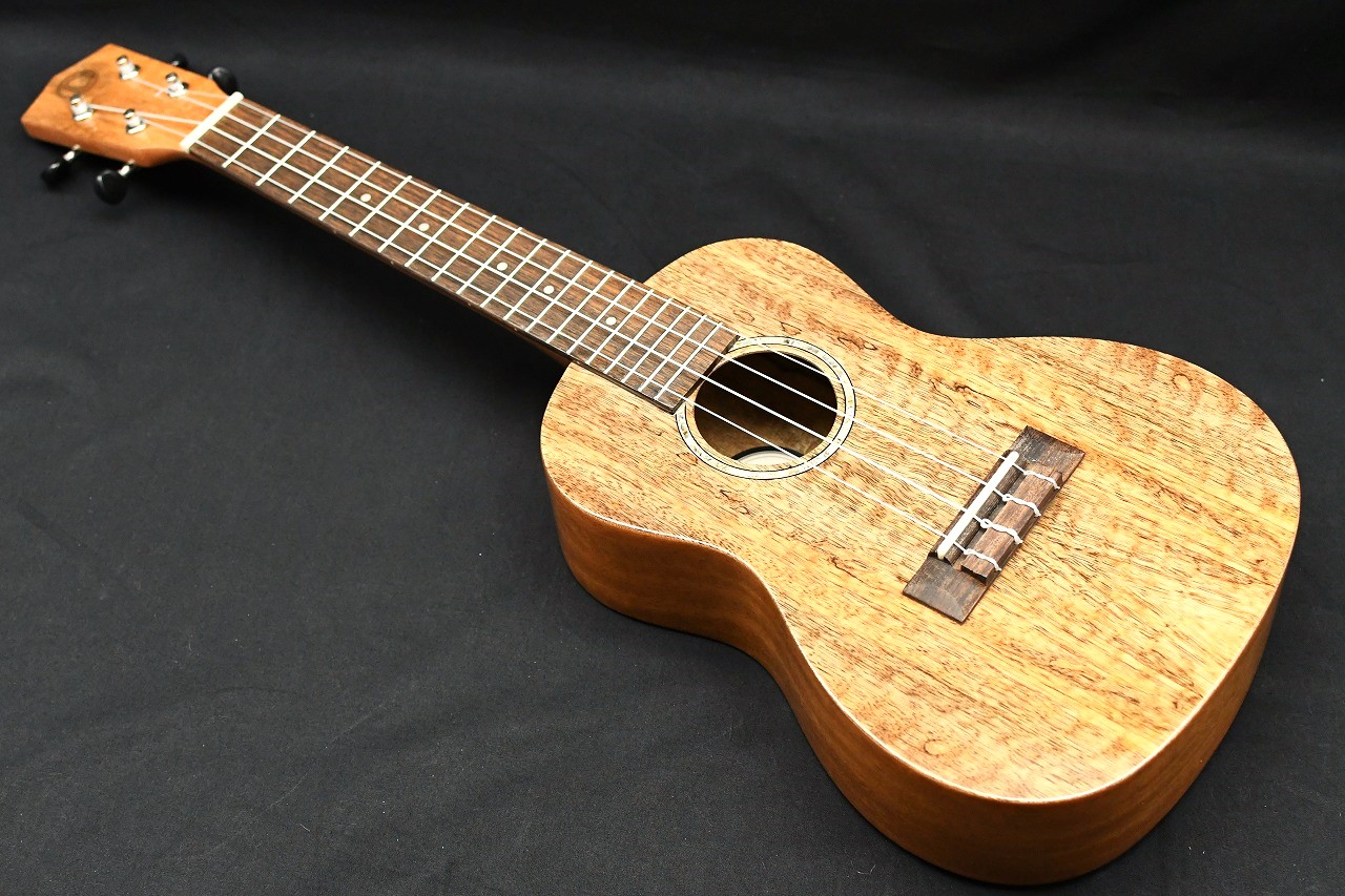 DCT DUC-200MG-2 Concert - 1658192046 ページ！