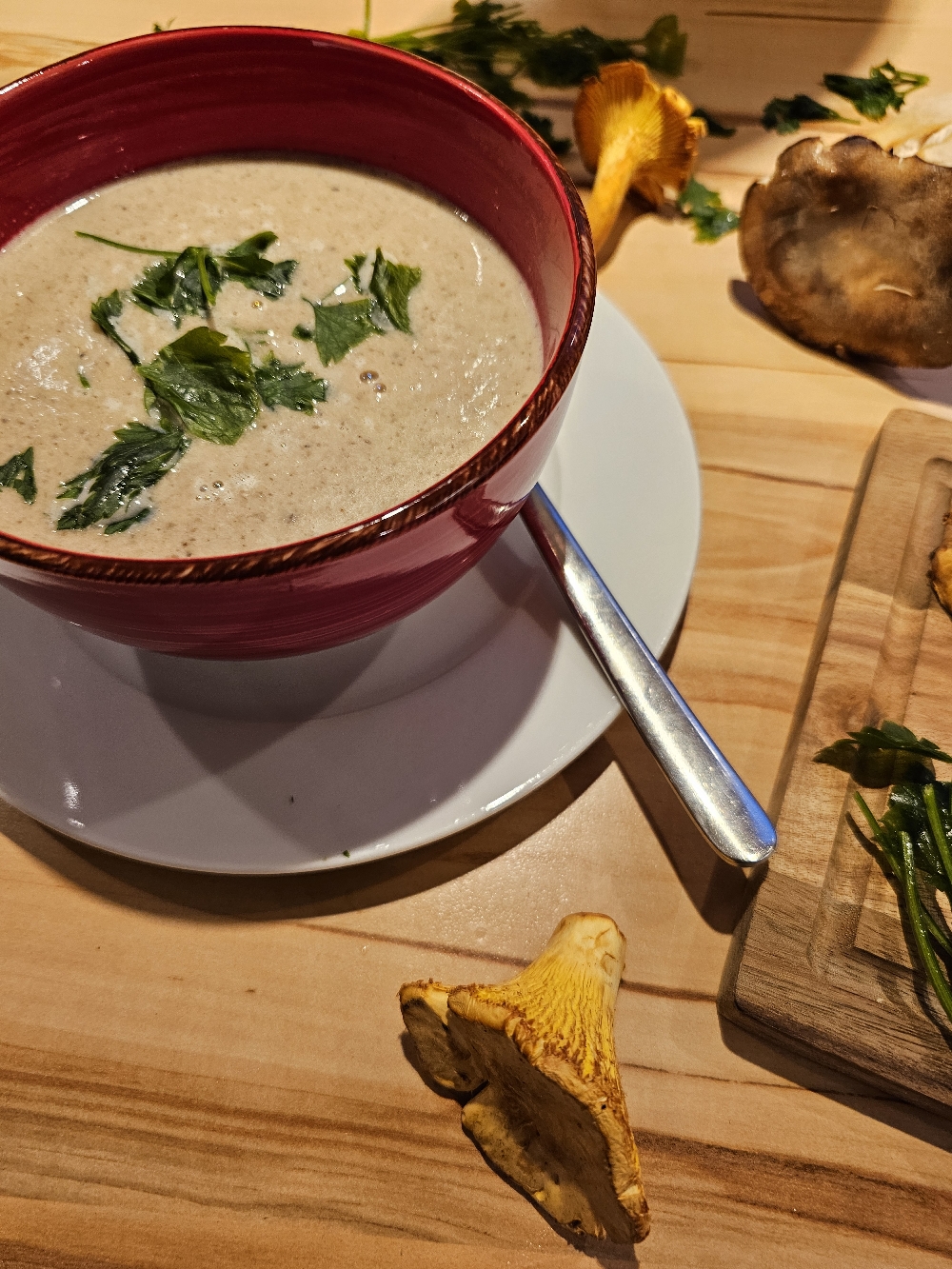 Cremige Waldpilzcremesuppe wie bei Oma