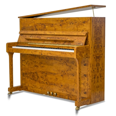 Resonance 122 if poli