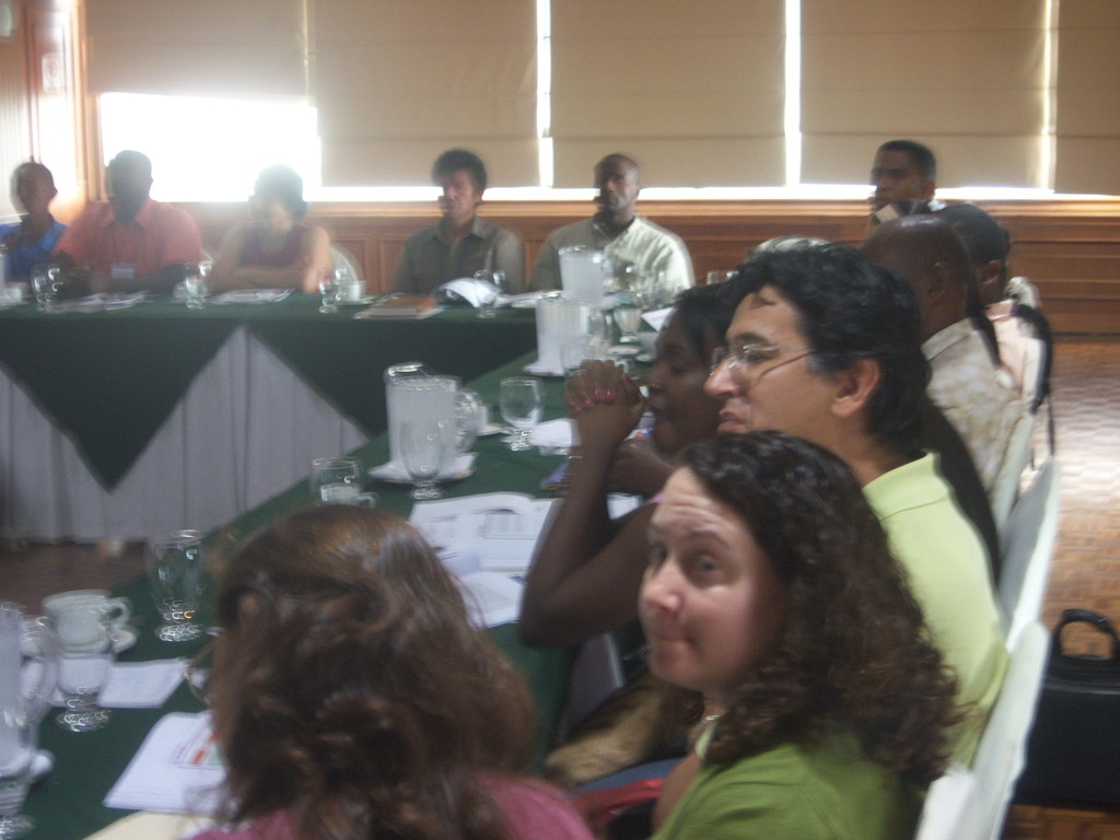 Taller Participacion Ciudadana en Acceso a la Justicia       " USAID"