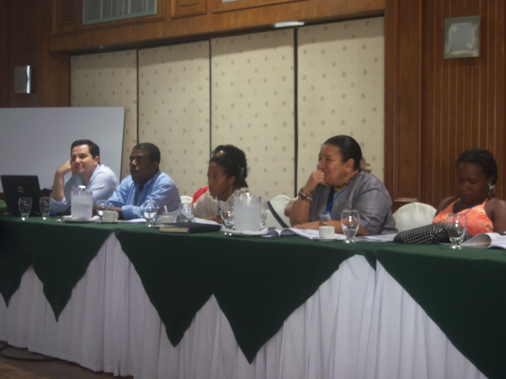 Taller Participacion Ciudadana en Acceso a la Justicia       " USAID"