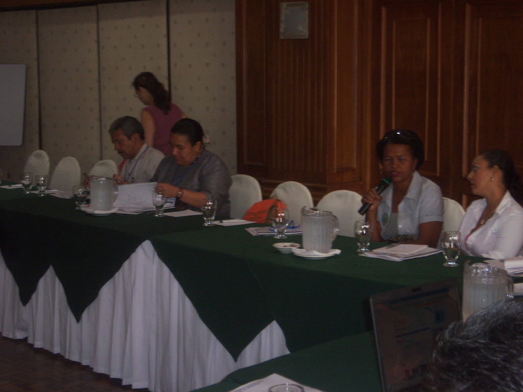 Taller Participacion Ciudadana en Acceso a la Justicia       " USAID"