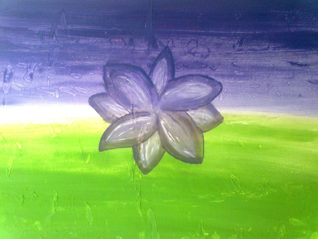 50x70