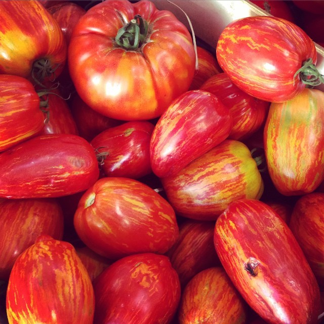 Trago como curiosidade estes maravilhosos tomates orgànicos que encontro sempre no Marche Provençal de Antibes. Nào sào uma jòia?