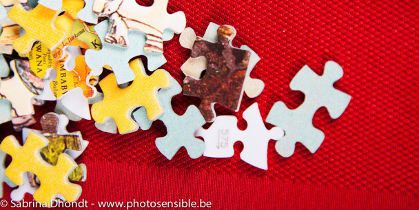 La trame d’un puzzle selon la marque