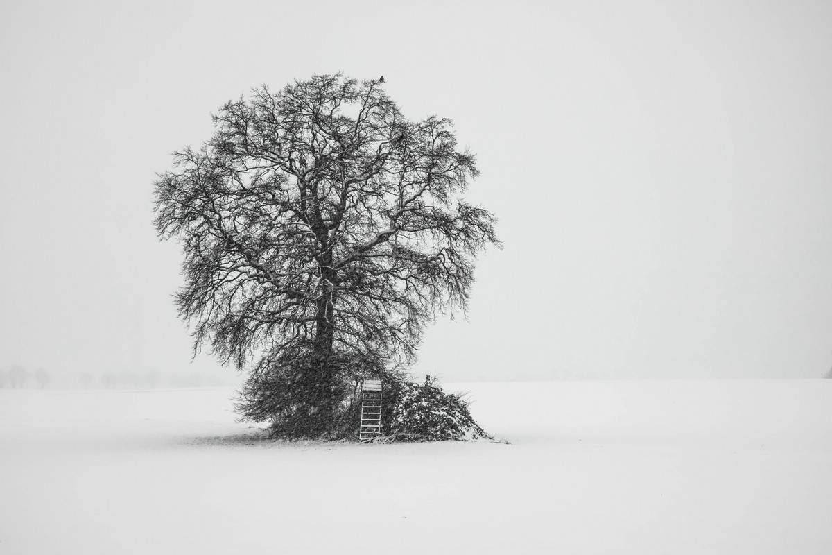 Roland Valter