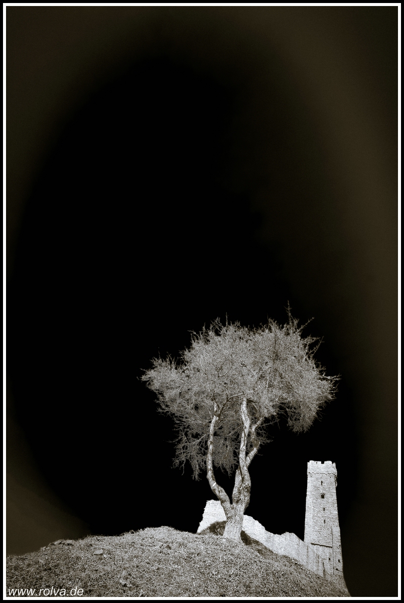 Philippsburg#„das Rech“ (Reh)#Monreal, Burgruine#sw