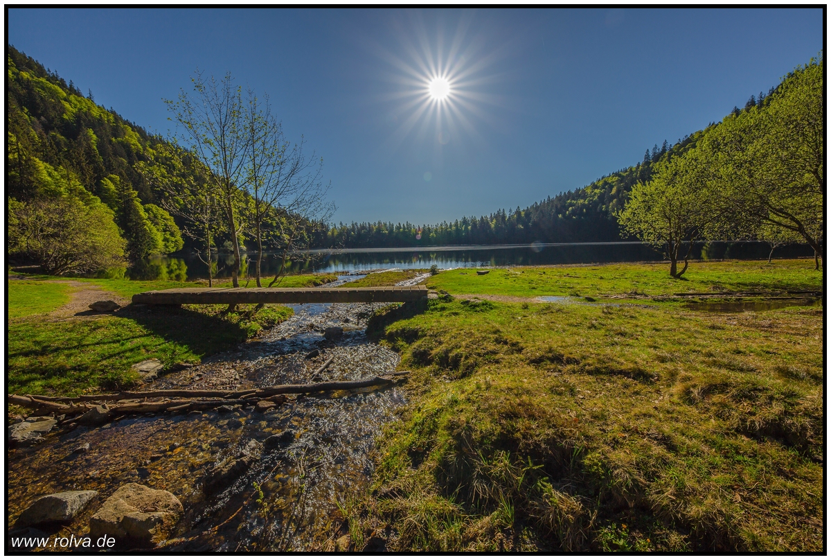 Feldsse#Feldberg#Schwarzwald