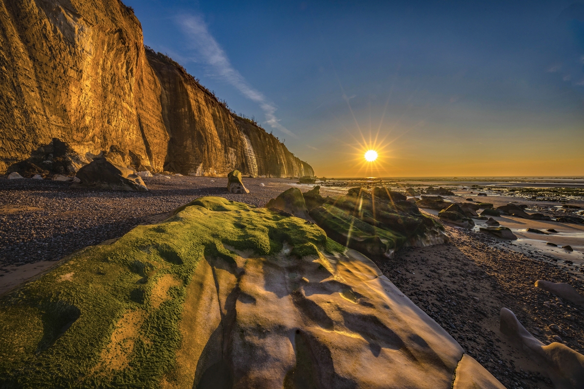 Normandie # Varengeville sur mer # Roland Valter # Naturfotografie