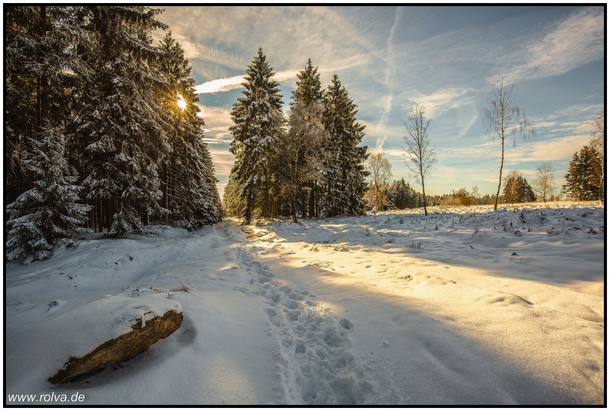 Eifel#Winter#Dreilägerbachtalsperre#Hochsitz#Struffeltroute#Winterimpressionen