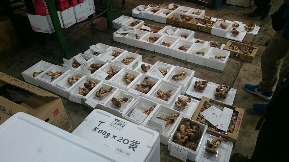 松茸