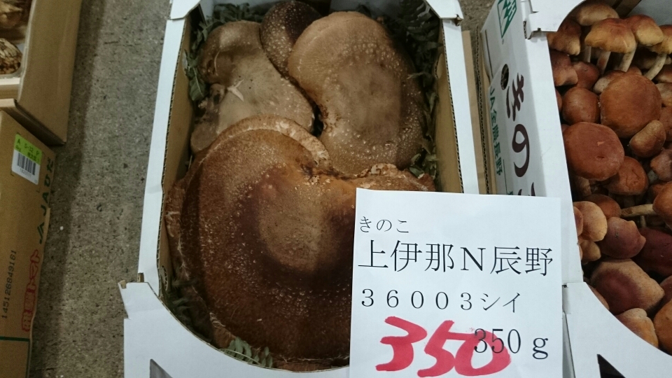 天然しいたけ