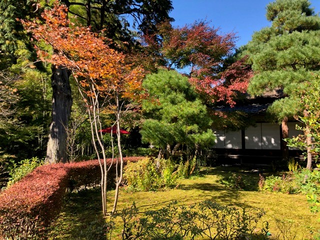 一条恵観山荘では、川のせせらぎと紅葉を楽しめます。