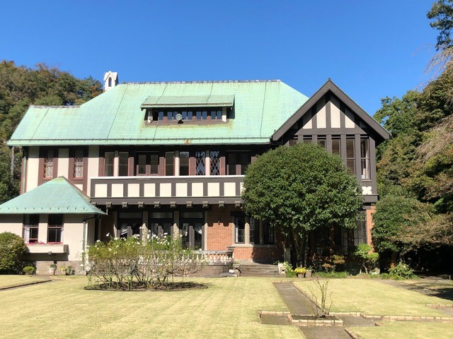 旧華頂宮邸には、銀杏が多く見られます。11月初旬、色づきはまだ。