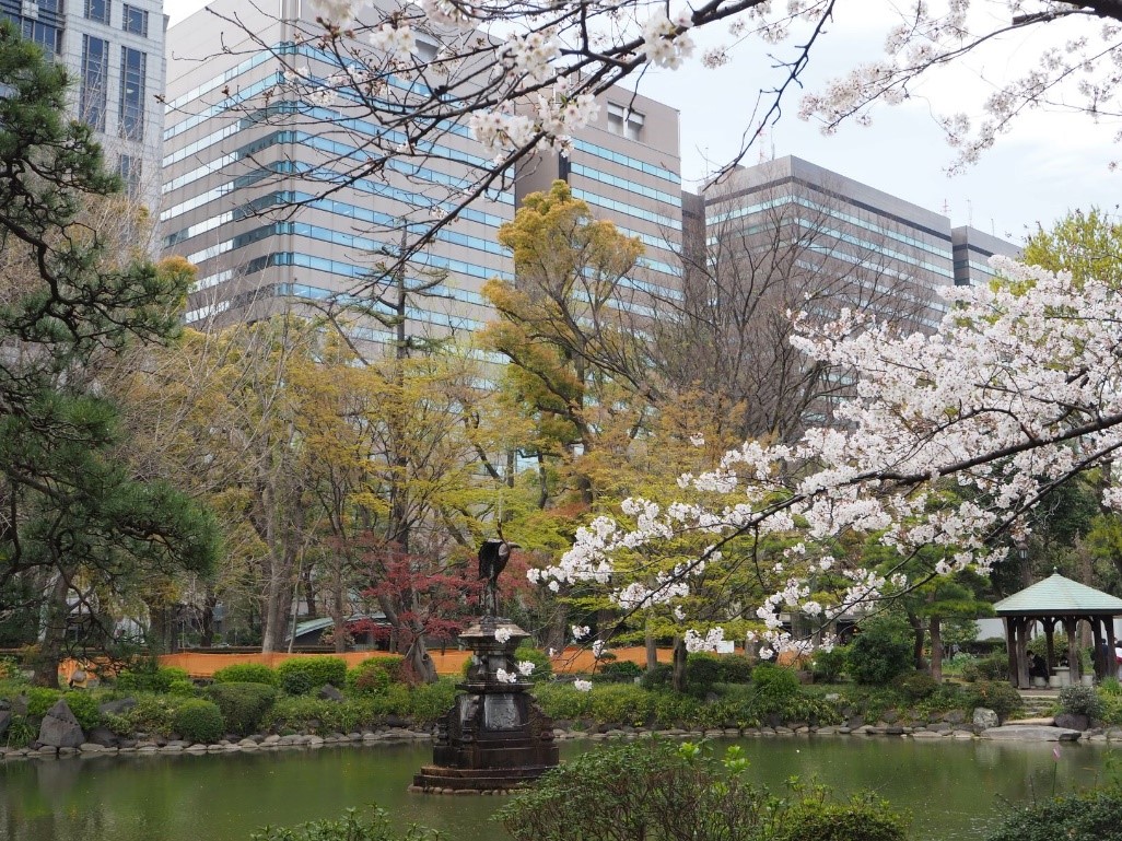 【日比谷公園】高層ビルと桜がひとつの構図で撮れる都心のオアシス