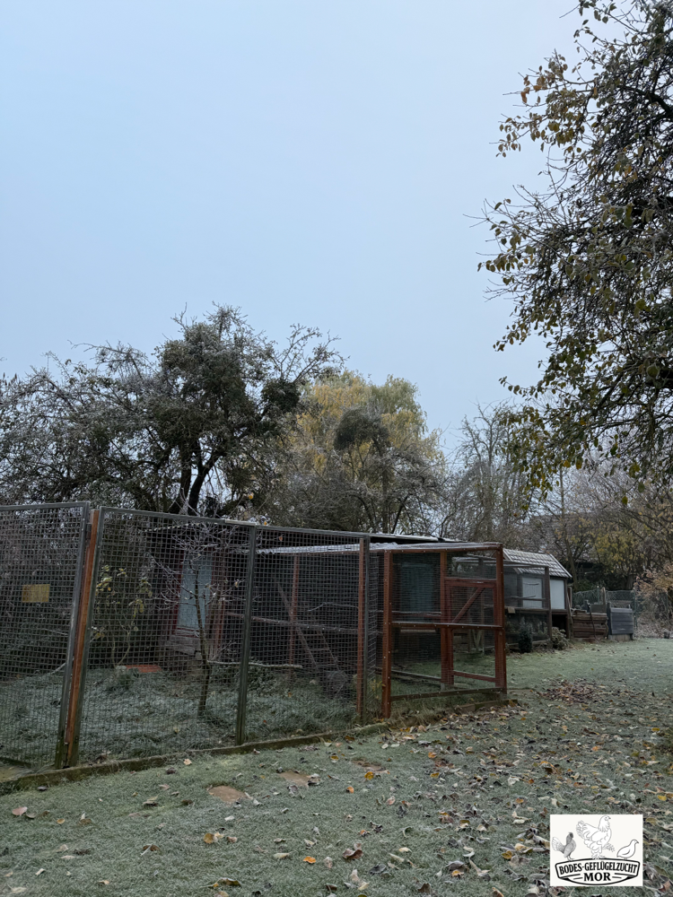 Zuchtanlage im Winter