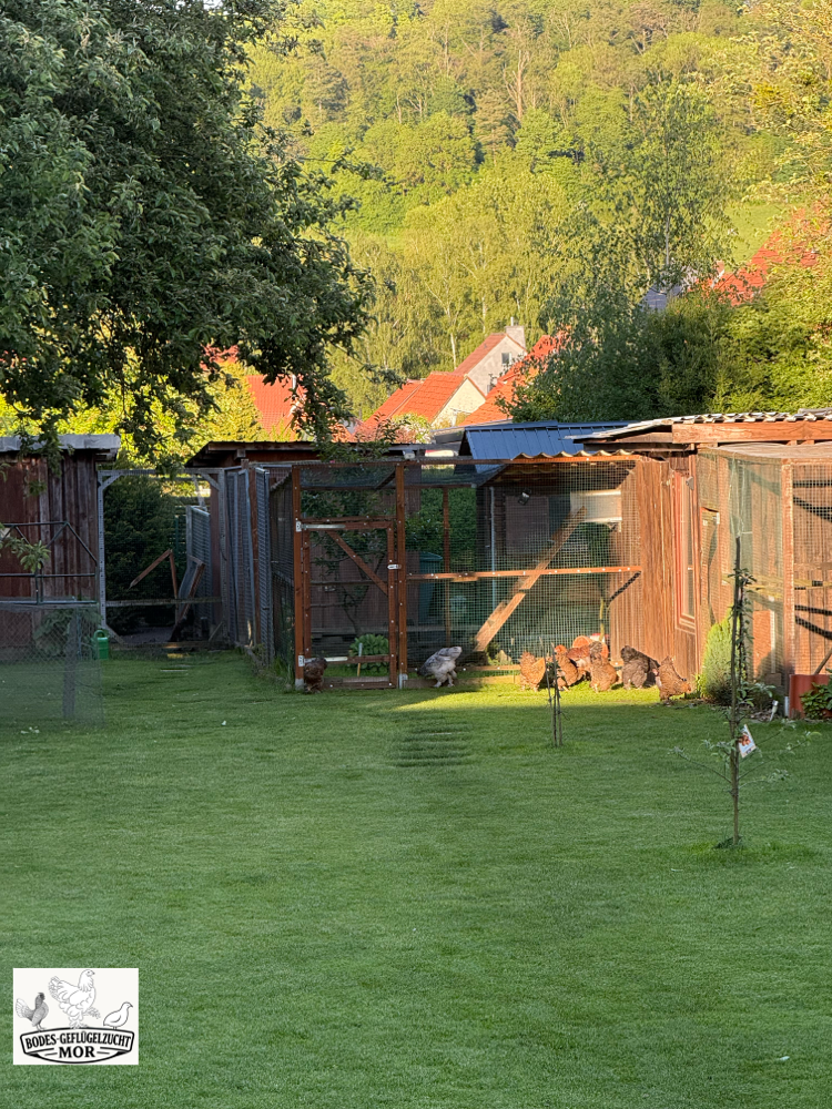 Blick auf die Zuchtanlage