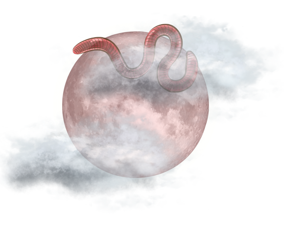March’s Worm Moon: A Total Lunar Eclipse Blood Moon You Don’t Want to Miss