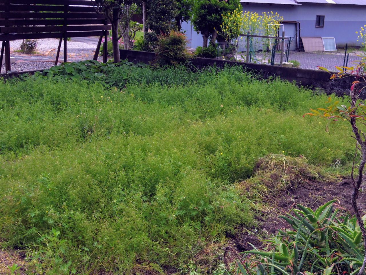 detached 熊野市有馬町