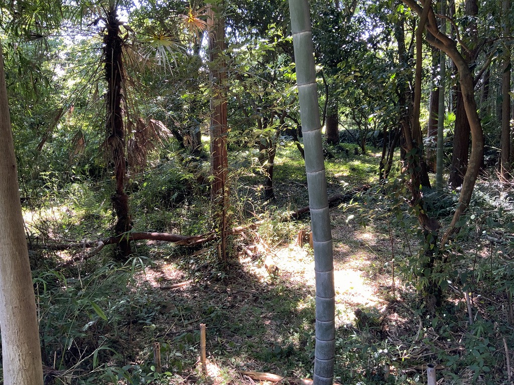 detached 熊野市有馬町