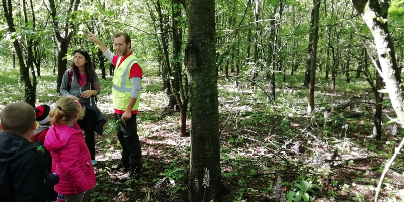Visita guidata nel bosco per una scuola materna - Marco Montepietra - Vigheffio (PR) 