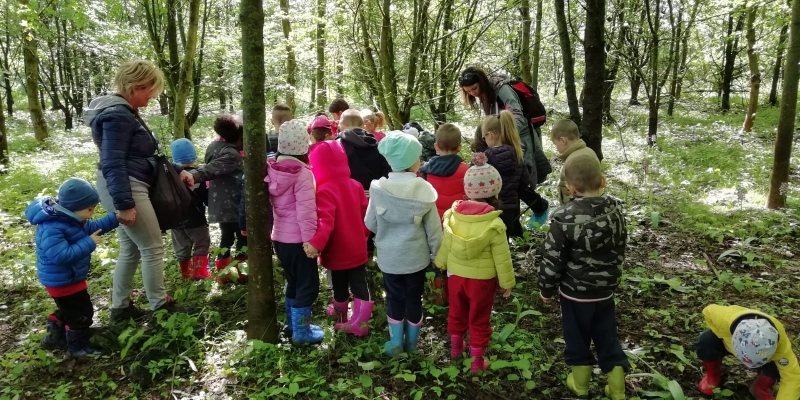 Visita guidata nel bosco per una scuola materna - Vigheffio (PR) 