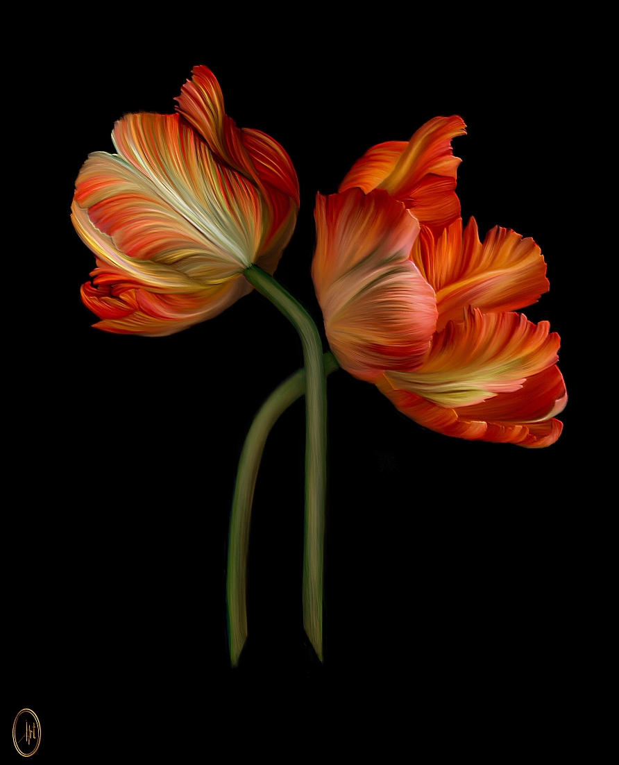 Two orange tulips - digital artwork