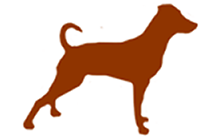 zwergpinscher-burgwildensteins Webseite!