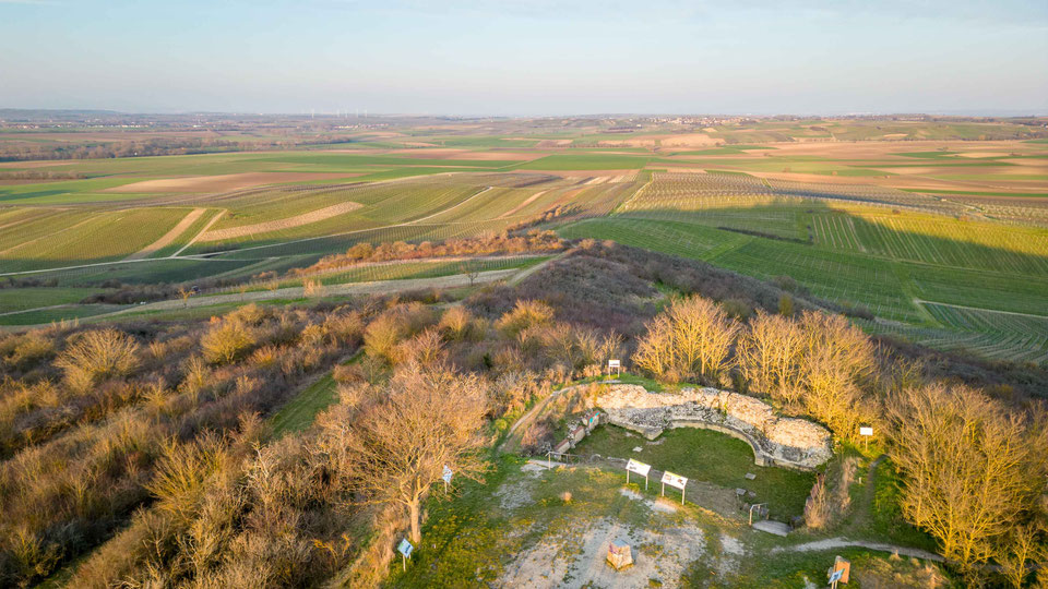 Blick auf die Ruine auf dem Petersberg