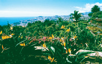 Madeira - Vulkaninseln im Atlantik Vortrag, Diashow