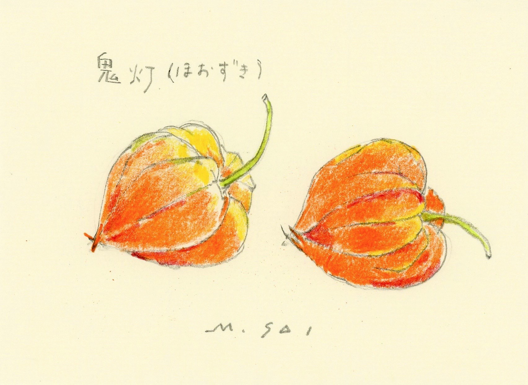 鬼灯 ほおずき Masaki Sai オフィシャルサイト 日本画家