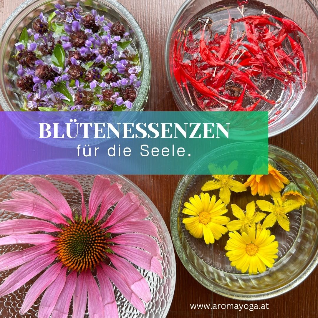 Blüten Essenzen für die Seele