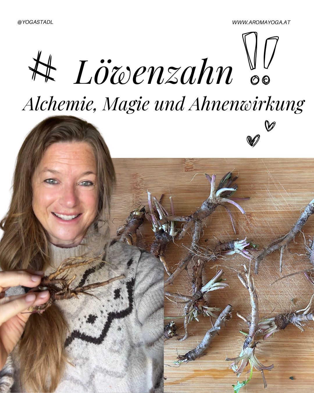 Löwenzahnwurzel: Alchemie, Magie und Ahnenwirkung