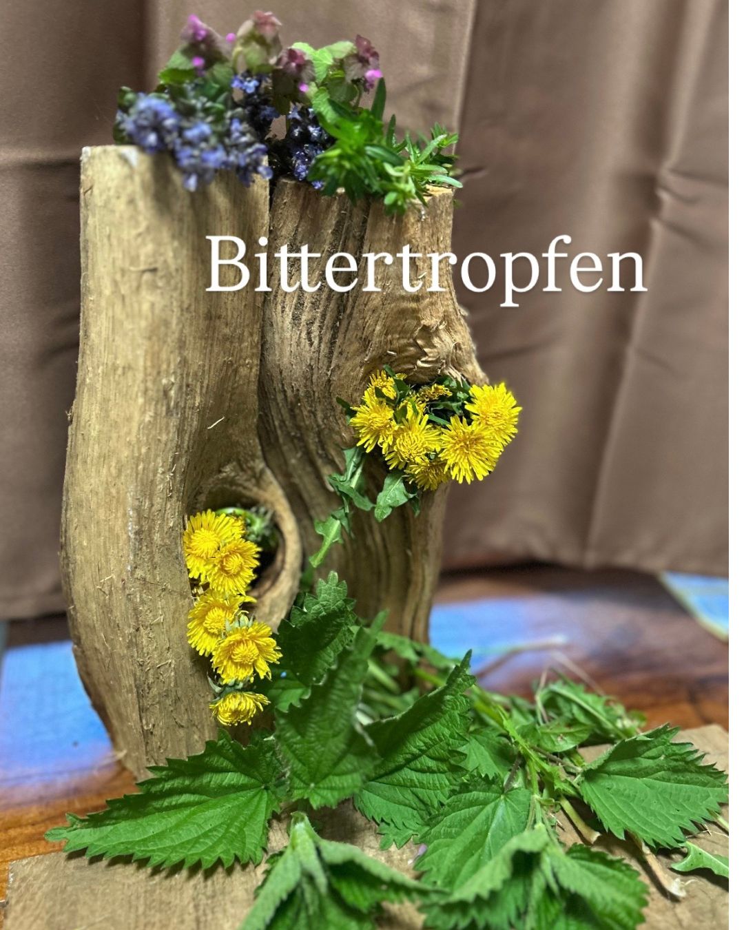 Bittertropfen selbst gemacht