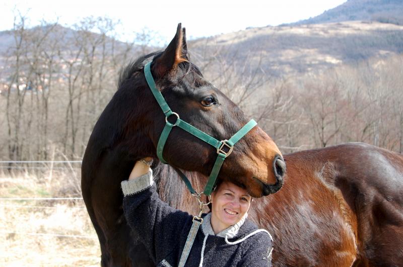 Quimperle du Noyer, adopté par Babeth en 2010