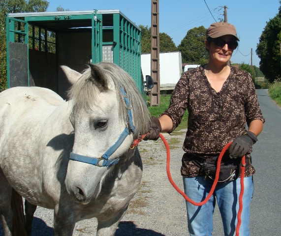 Prince, adopté par Karine en 2011